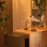 Garden House By Dreams *